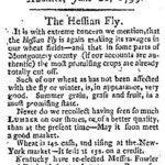 albgaz21june1799hessianfly